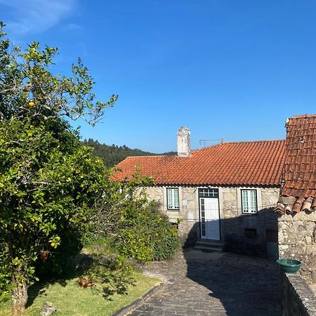 Вилла Casa Do Carqueijo Вила-Прайа-де-Анкора Экстерьер фото