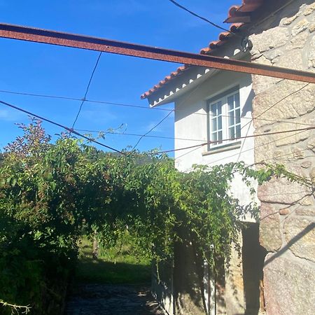 Вилла Casa Do Carqueijo Вила-Прайа-де-Анкора Экстерьер фото